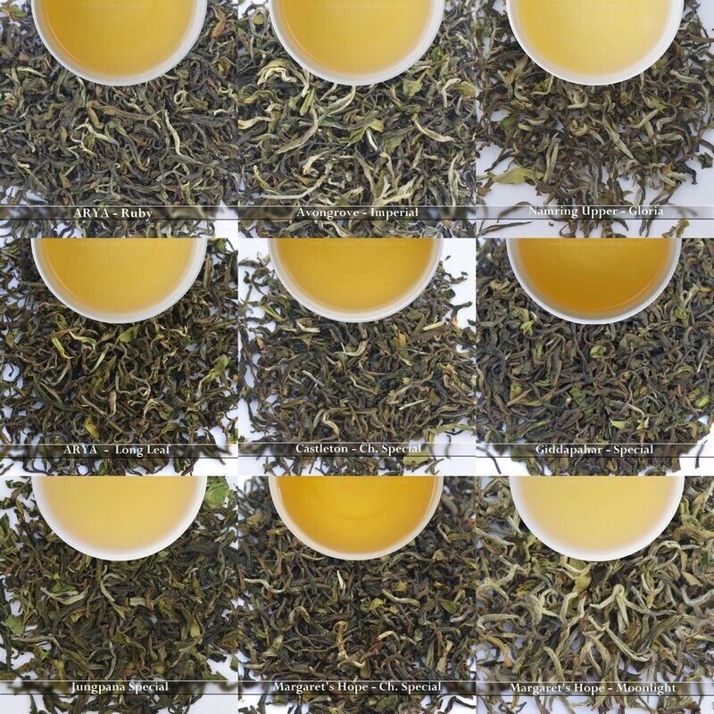 Sample Pack | Darjeeling First Flush Tea | 10 x 10g