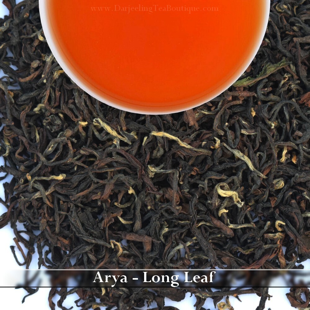 ARYA - LONG LEAF