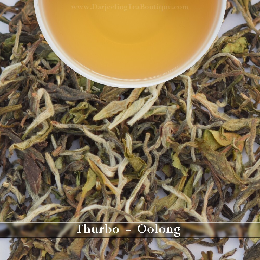 Thurbo Oolong Darjeeling first flush 2023 2024 First Flush