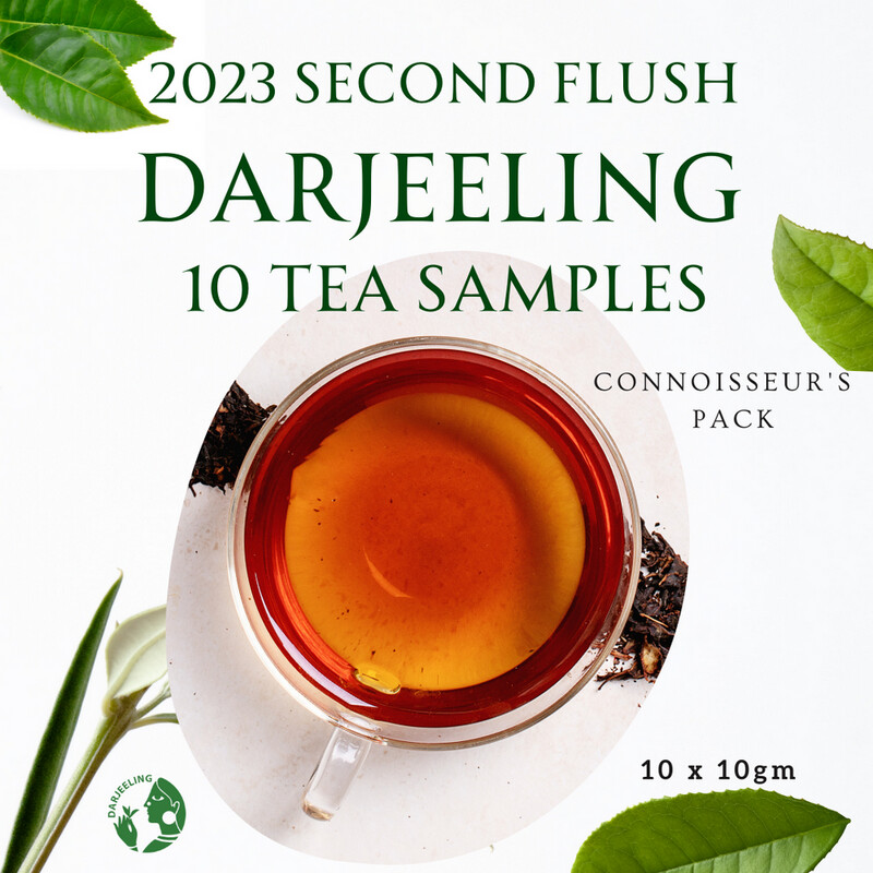 10 Sample Pack | Darjeeling Second Flush Tea | 10 x 10g
