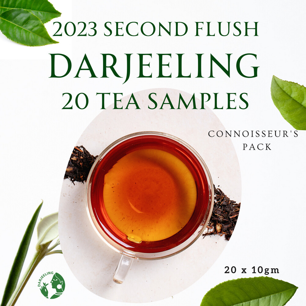 20 Sample Pack | Darjeeling Second Flush Tea | 20 x 10g