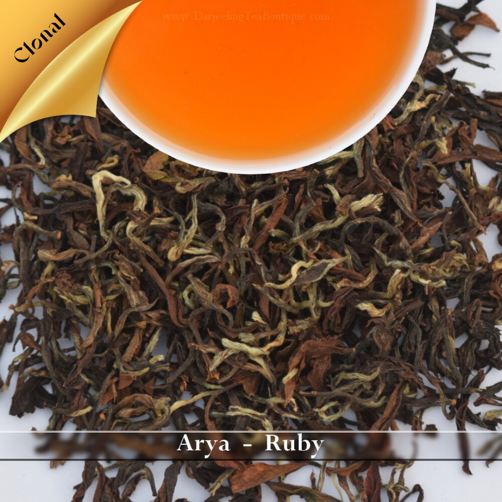 ARYA - RUBY