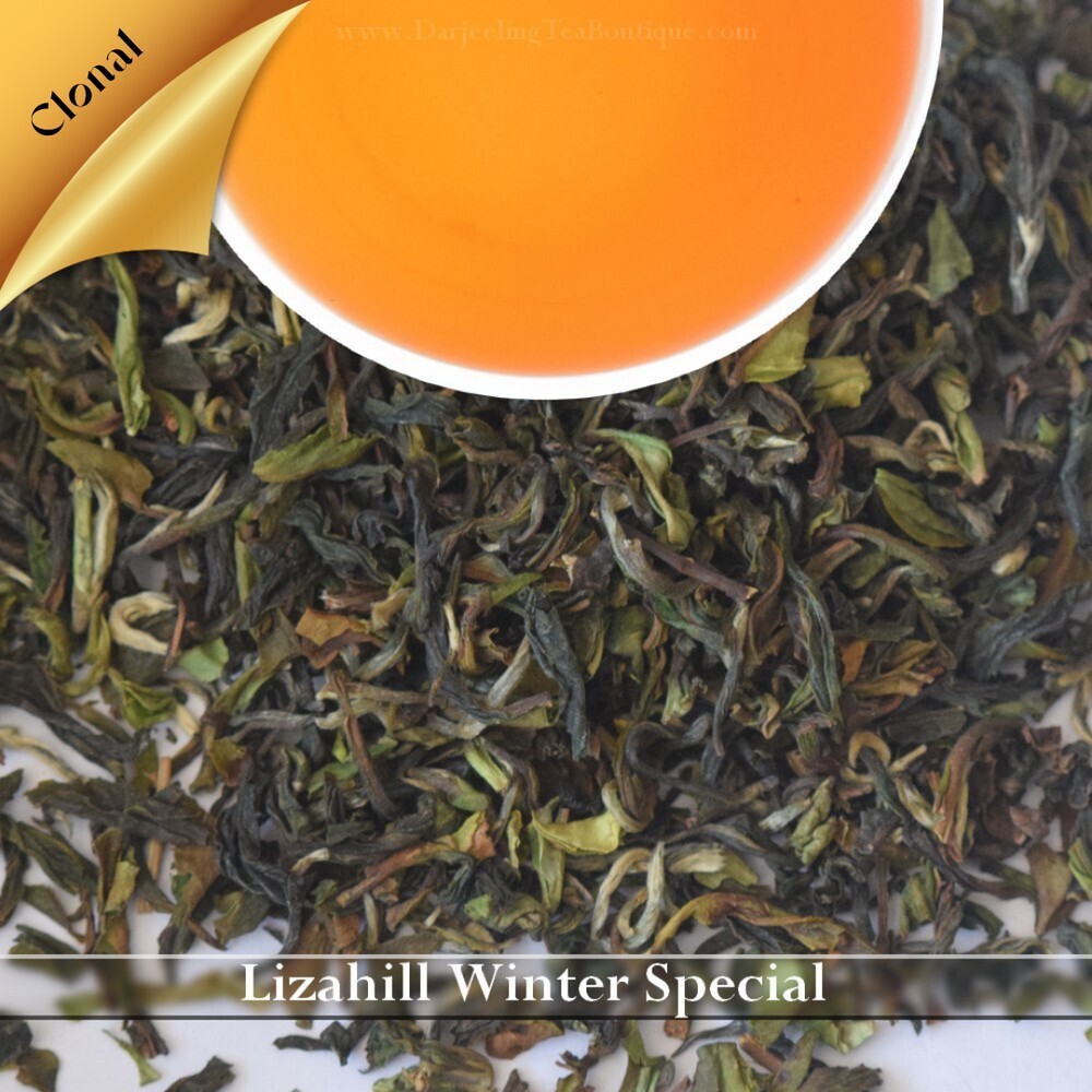 LIZAHILL  Special