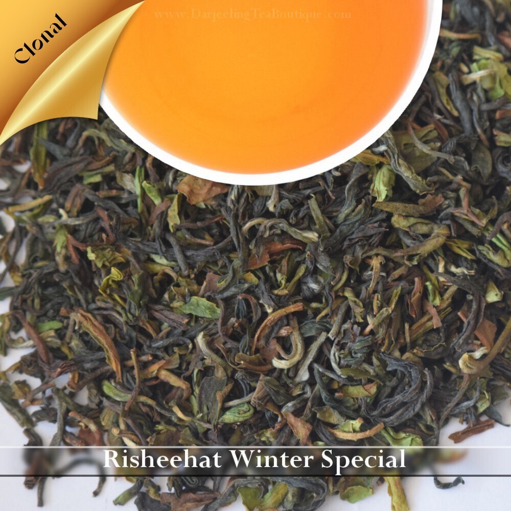 RISHEEHAT - Special