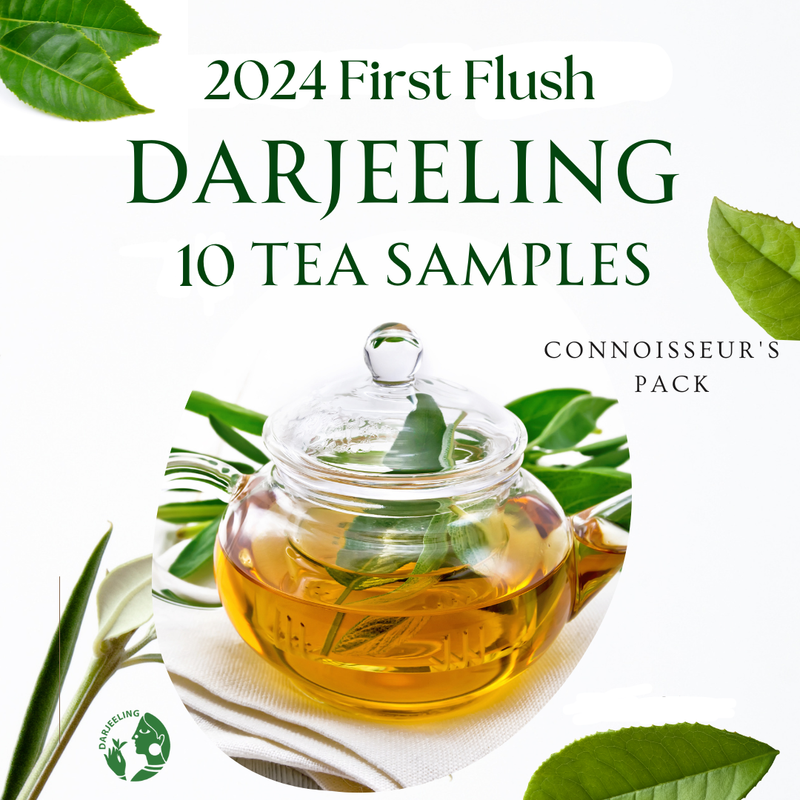 10 Sample Pack | Darjeeling First Flush Tea | 10 x 10g