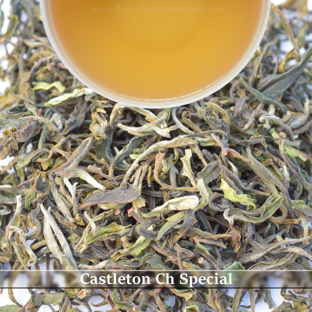 CASTLETON CH SPECIAL