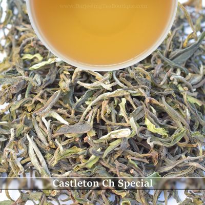 CASTLETON CH SPECIAL