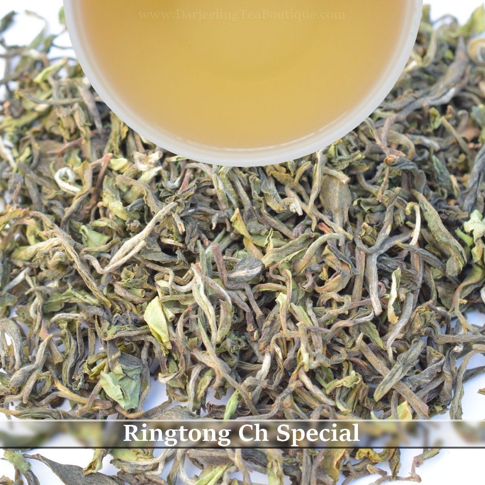 RINGTONG  Ch SPECIAL