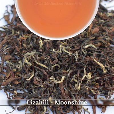 LIZAHILL - MOONSHINE