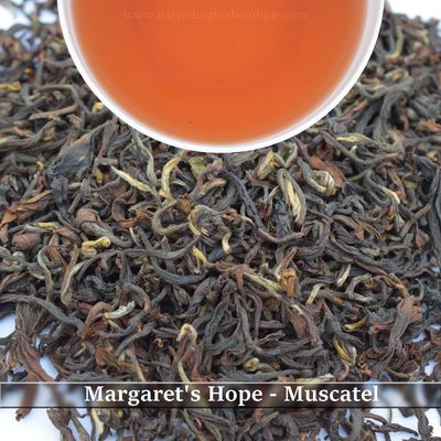 MARGARET&#39;S HOPE - MUSCATEL