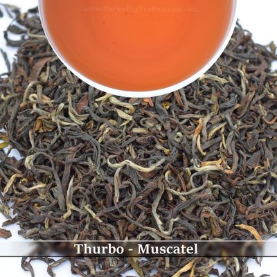 THURBO - MUSCATEL
