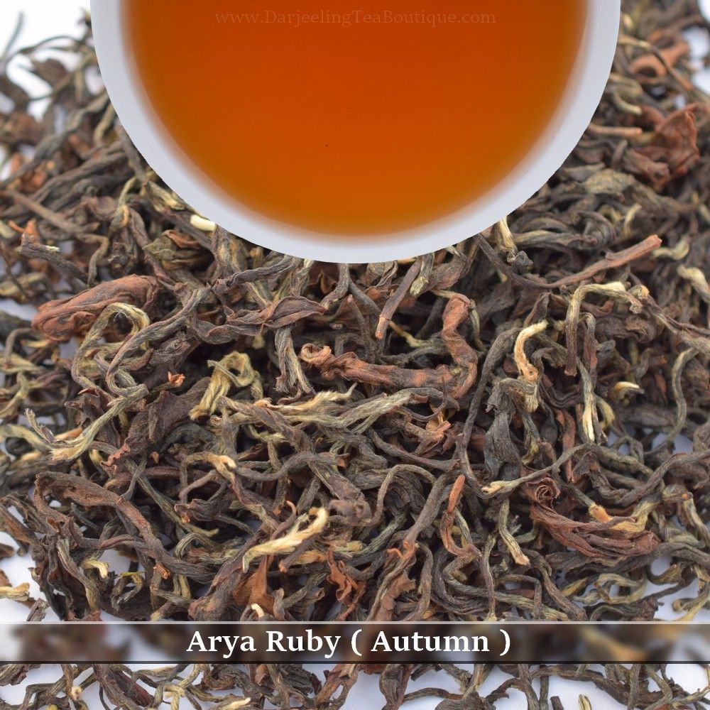 ARYA  RUBY (Autumn)