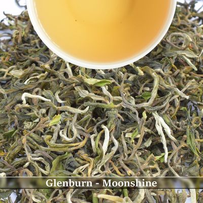 GLENBURN - MOONSHINE
