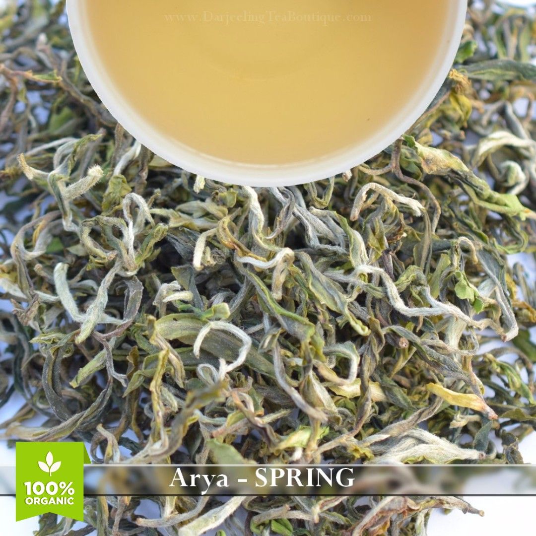 WHOLESALE PACK: ARYA - SPRING
