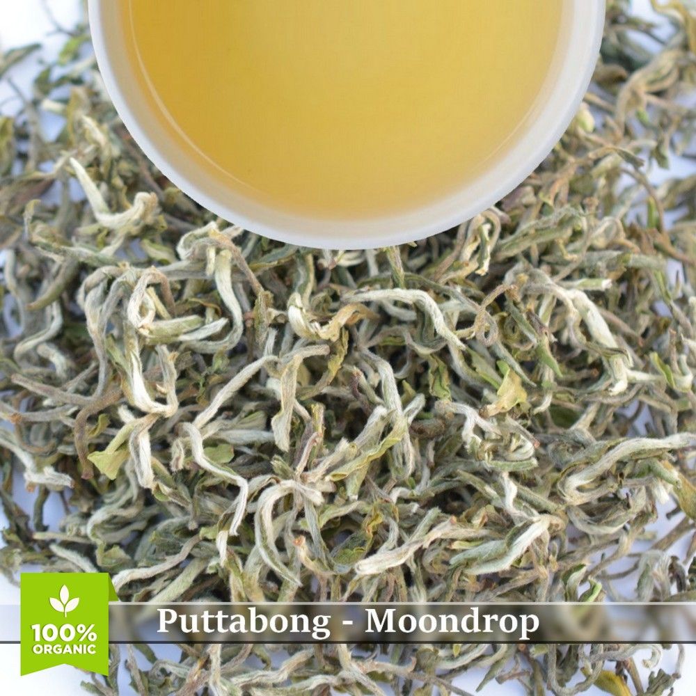 PUTTABONG - MOONDROP
