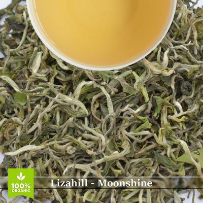 LIZAHILL - MOONSHINE