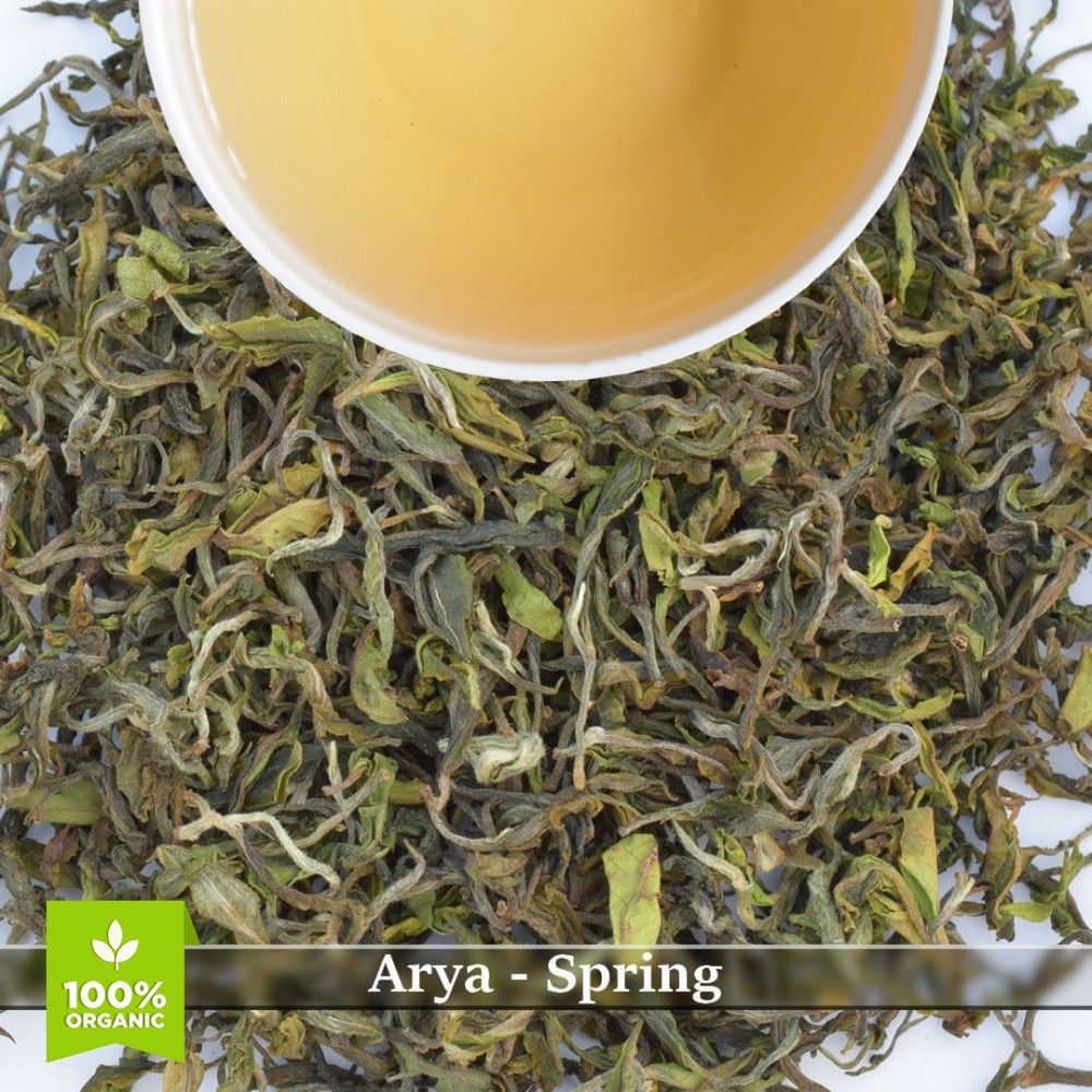 WHOLESALE PACK: ARYA - SPRING
