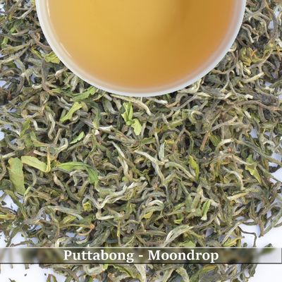 WHOLESALE PACK: PUTTABONG - MOONDROP