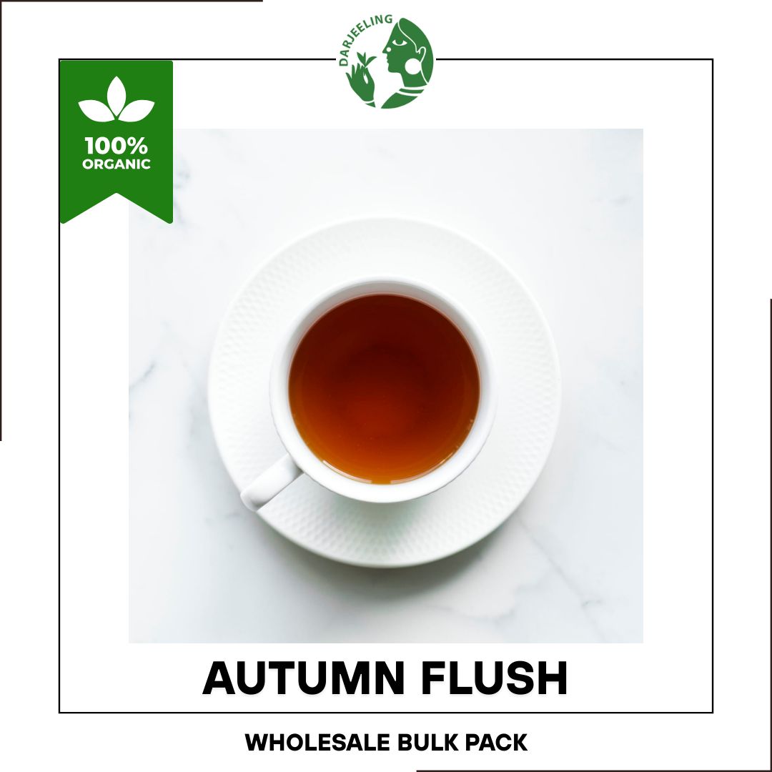 MONEY SAVER WHOLESALE PACK: Darjeeling Autumn Flush