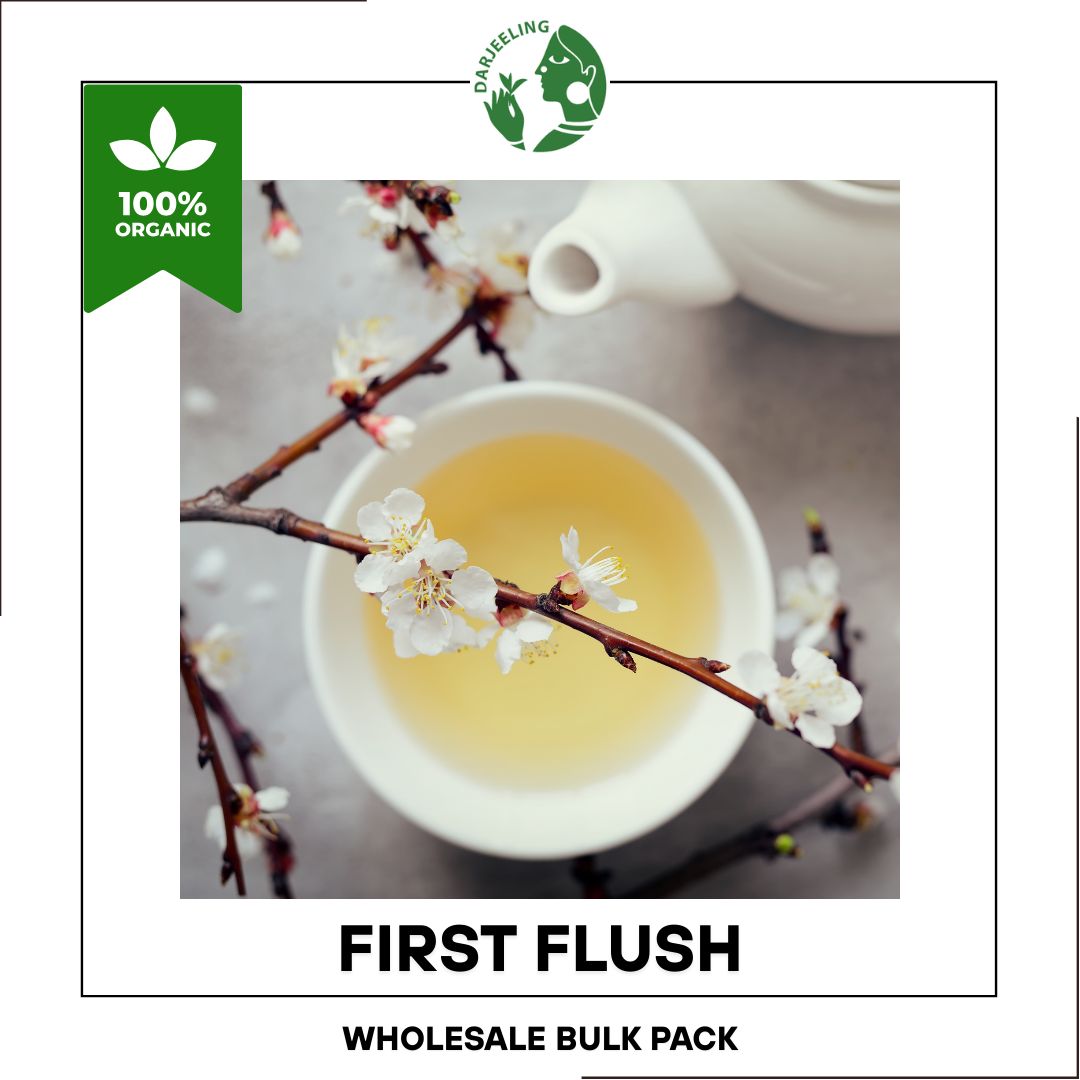 MONEY SAVER WHOLESALE PACK: Darjeeling First Flush