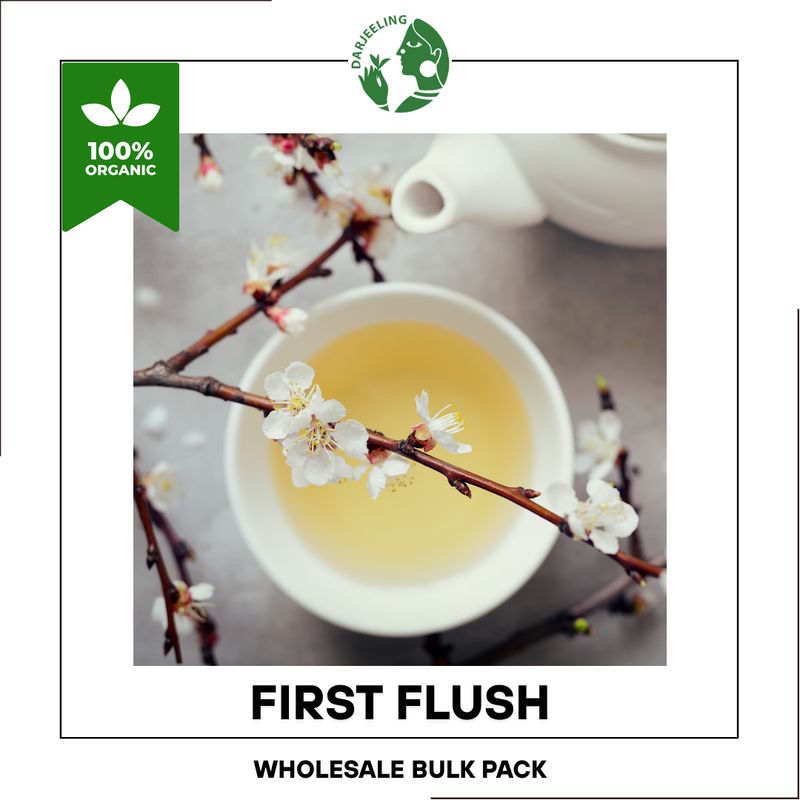 2024 TEA WG's Darjeeling First Flush - Hong Kong Times Square