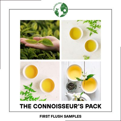 10 Sample Pack | Darjeeling First Flush Tea | 10 x 10g