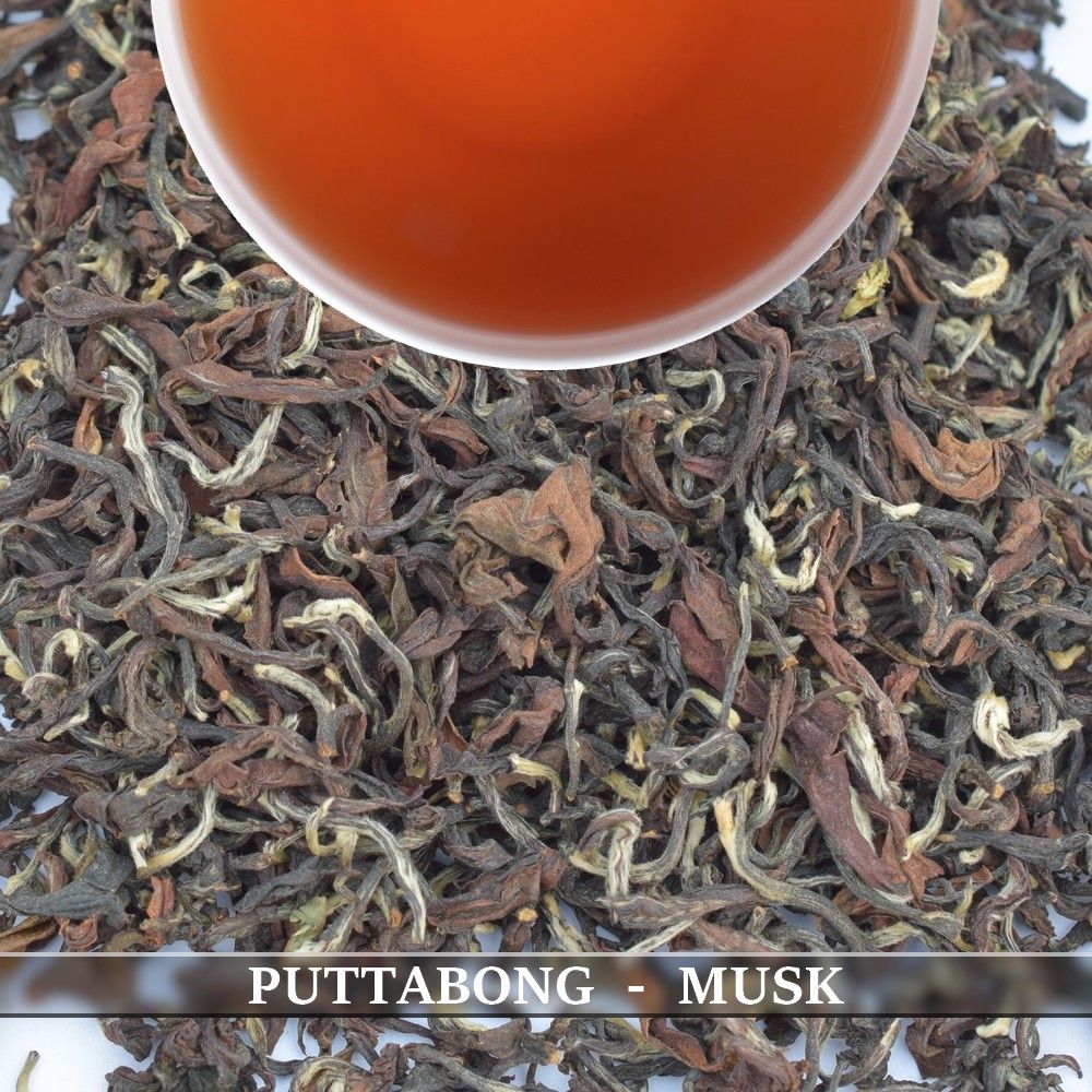 PUTTABONG - MOONDROP MUSK