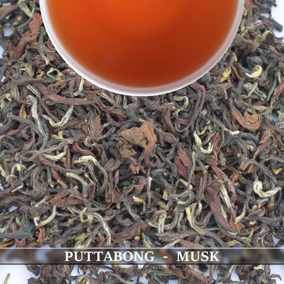 PUTTABONG - MOONDROP MUSK
