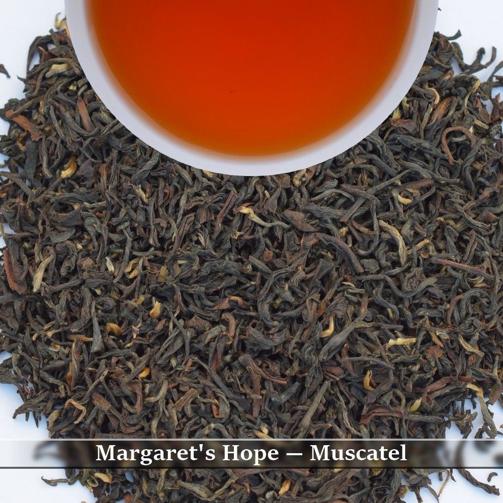 MARGARET&#39;S HOPE  - MUSCATEL