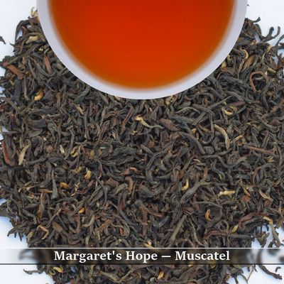 MARGARET&#39;S HOPE  - MUSCATEL