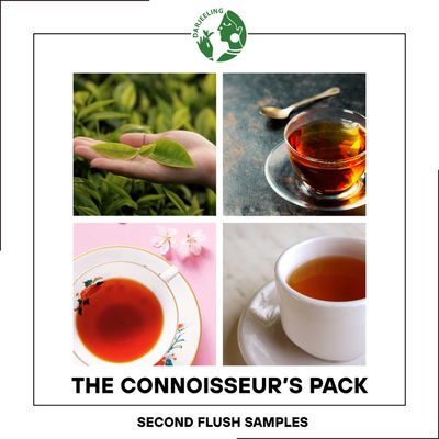 10 Sample Pack | Darjeeling Second Flush Tea | 10 x 10g