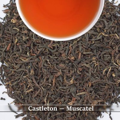 CASTLETON - MUSCATEL
