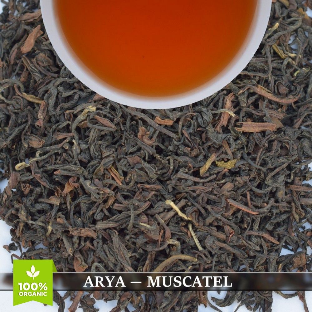 ARYA - MUSCATEL