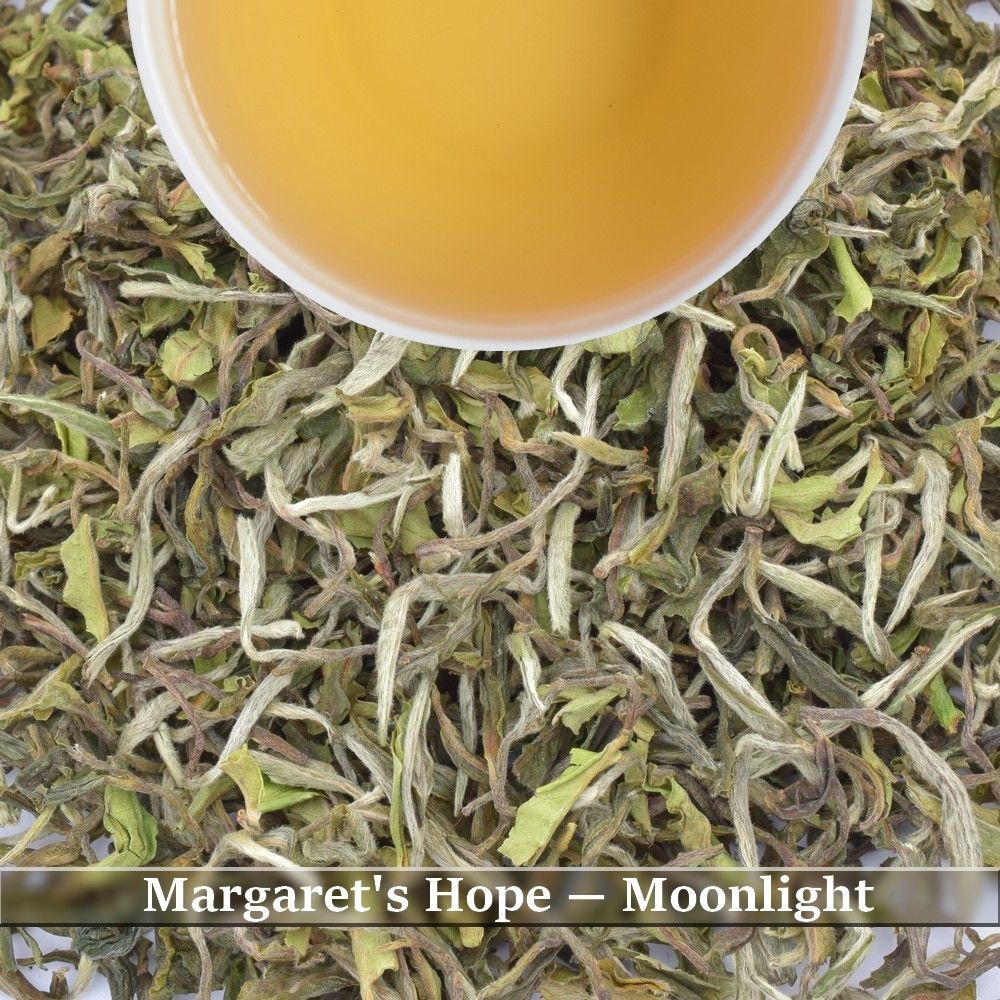 MARGARET'S HOPE - MOONLIGHT