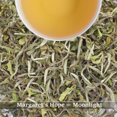 MARGARET'S HOPE - MOONLIGHT
