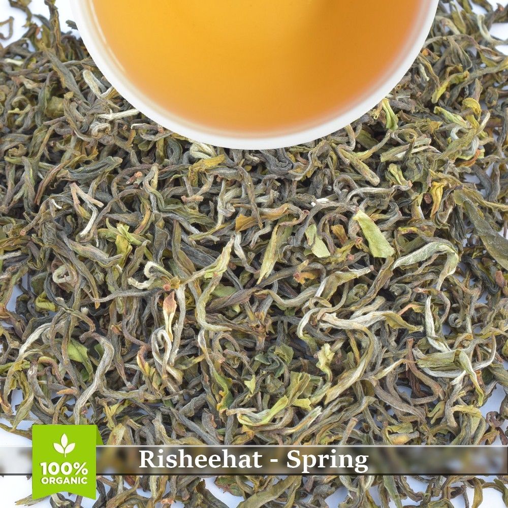 RISHEEHAT - SPRING