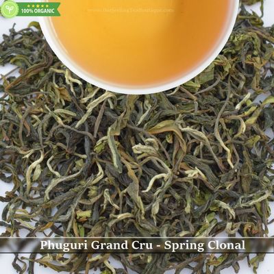 PHUGURI GRAND CRU - SPRING CLONAL