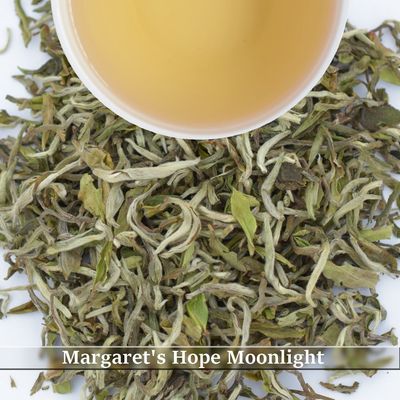 MARGARET'S HOPE - MOONLIGHT