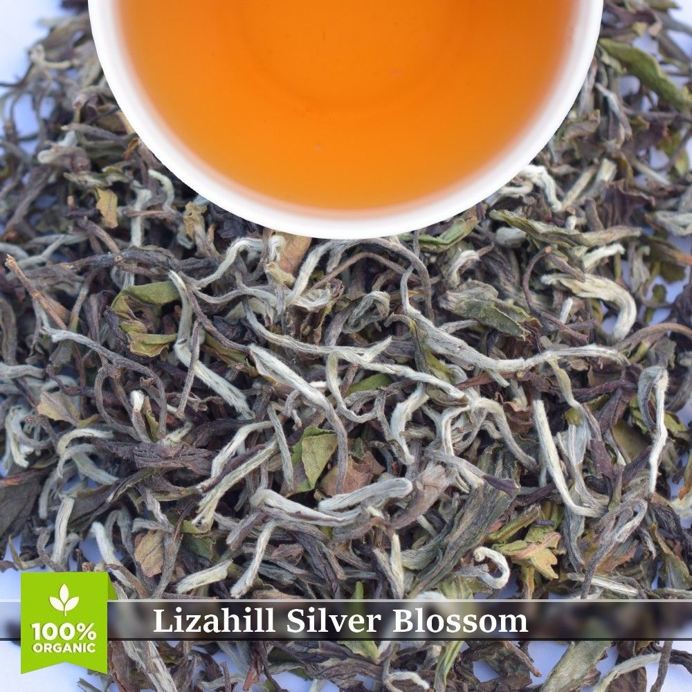 LIZAHILL - SILVER BLOSSOM