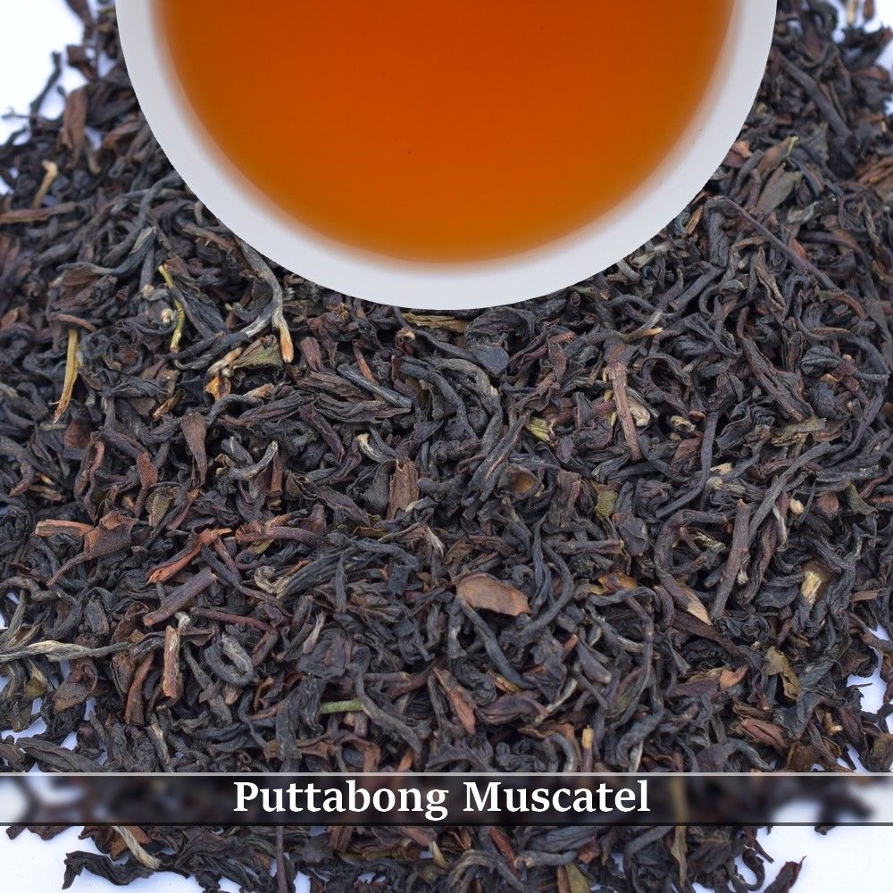Buy Darjeeling Tea Online