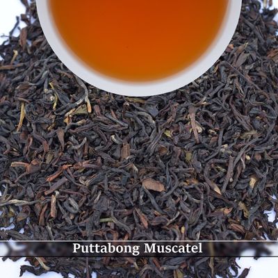 PUTTABONG - MUSCATEL