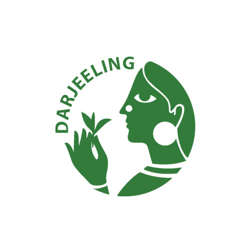 MONEY SAVER WHOLESALE PACK: Darjeeling First Flush