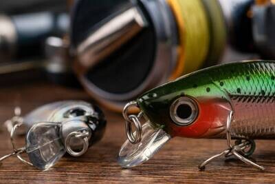 Hard Baits