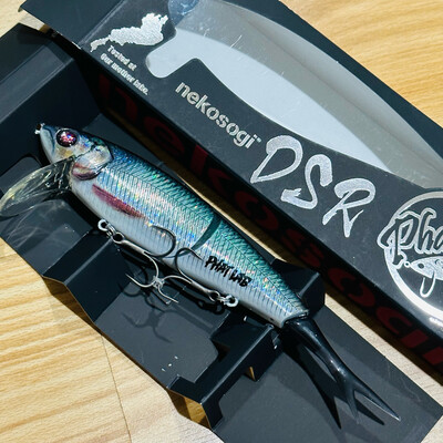Phat Lab Nekosogi DSR Real Hasu