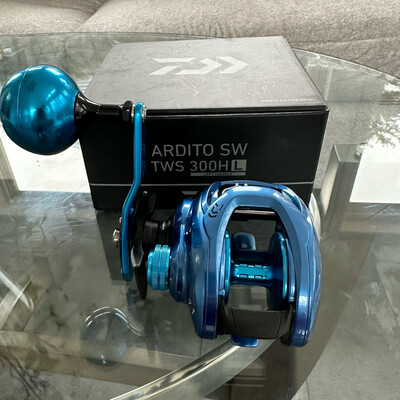 Daiwa Ardito SW TWS 300HL