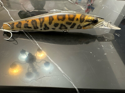 Gan Craft Ayuja TZ Custom Panther Bigger 6” 1-1/3oz New WITHOUT Box.