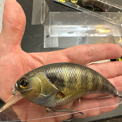 Deps Evoke 4.0 #01 BIG 2oz JDM Crankbait, 100mm 56.5g.