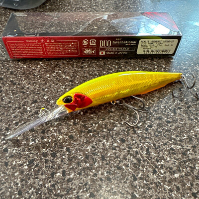 Duo Realis Jerkbait 100DR-SP #ADA3121 Phoenix