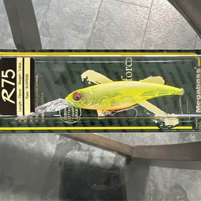 Megabass Shading X R 75SP BRANDNEW Baits! Ito Kinari