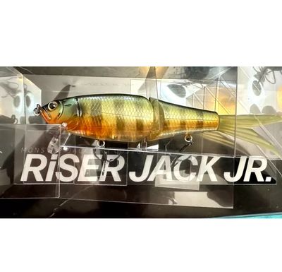 Fish Arrow Riser Jack Jr. Swimbait 7.6" 1.6oz Tsuburoko Gill Club Limited NIP